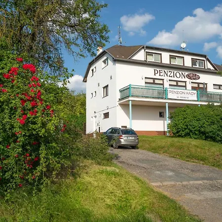 Hady Guest house